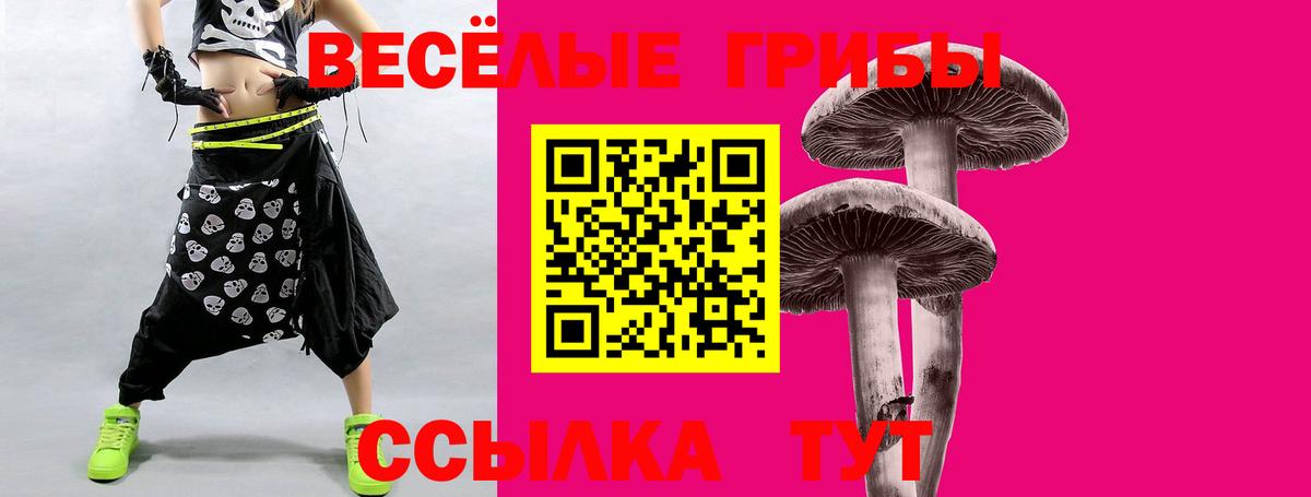 Галлюциногенные грибы Psilocybine cubensis  Псилоцибиновые грибы Psilocybe  Вход с VPN  Лесозаводск 