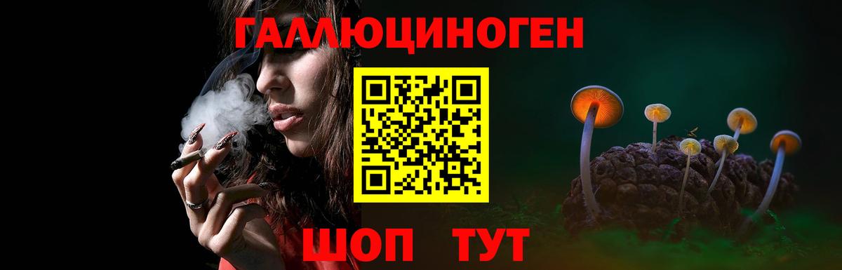 Галлюциногенные грибы Cubensis Лесозаводск